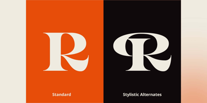 Rayken Font Poster 4