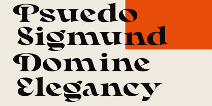 Rayken Font Poster 3