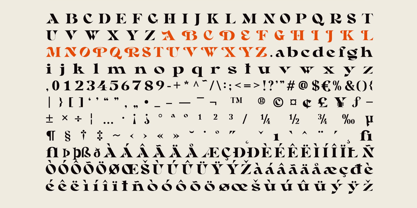 Rayken Font Poster 6