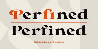 Rayken Font Poster 2