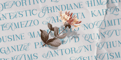 The Aveloria Twice Font Poster 4