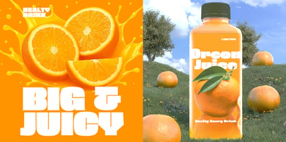 Oreon Font Poster 6