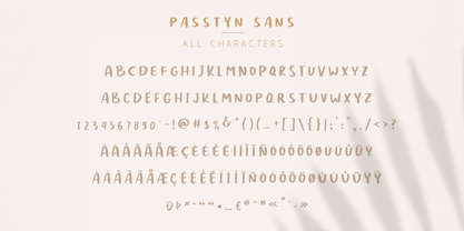 Passtyn Script Font Poster 5