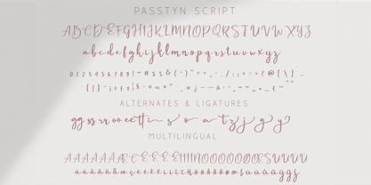 Passtyn Script Font Poster 4