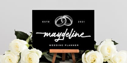 Breakline Signature Font Poster 11
