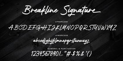 Breakline Signature Font Poster 14