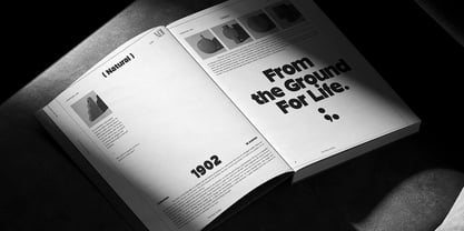 Morna Font Poster 7