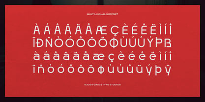 Fingard Font Poster 11
