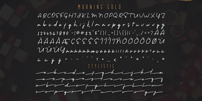 Morning Gold Font Poster 5