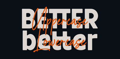 Being Another Font Poster 4