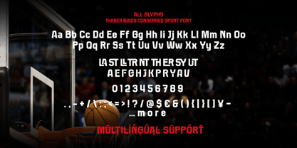 Thaber Blads Font Poster 10