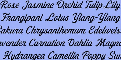 Scrakers Font Poster 11