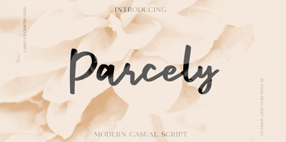 Parcely Font Poster 1