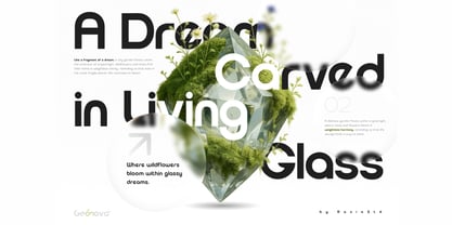 Geonowa Font Poster 11