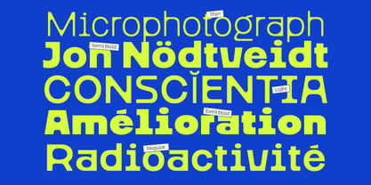 Figola Font Poster 4