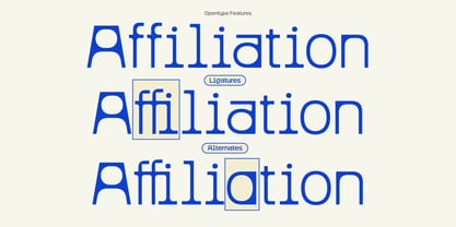 Figola Font Poster 13