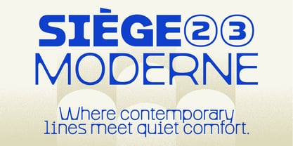 Figola Font Poster 7
