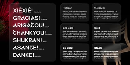 Magise Pro Variable Font Poster 3
