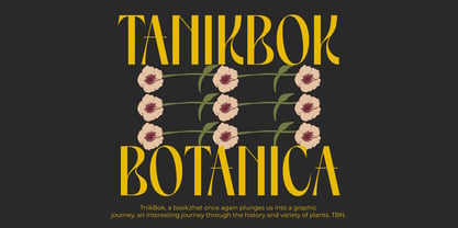 Spring Braavo Font Poster 9