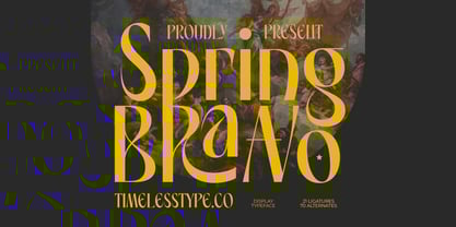 Spring Braavo Font Poster 1