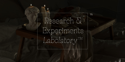 Palaise Font Poster 3