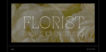 Palaise Font Poster 2