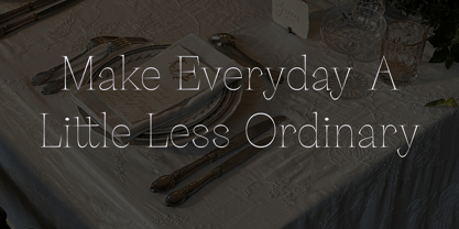 Palaise Font Poster 5