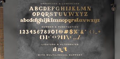 Reina Sayuri Font Poster 7