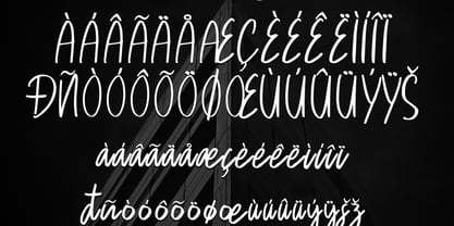 Bergly Font Poster 4