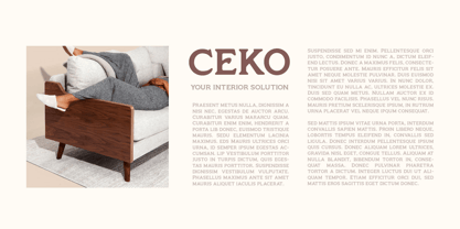 Monsier Font Poster 3