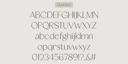 Quackey Font Poster 6