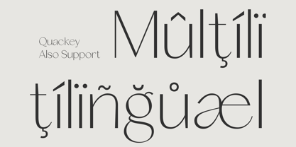 Quackey Font Poster 5