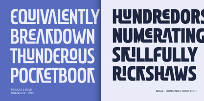Break Font Poster 7