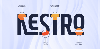 Break Font Poster 9