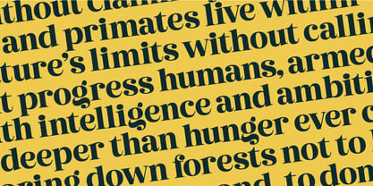 Metguy Behope Font Poster 12