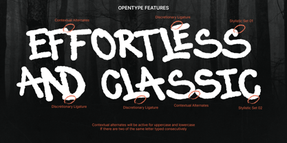 MN Tavera Font Poster 10