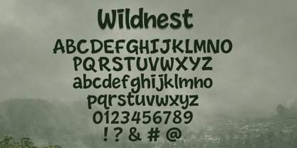Wildnest Font Poster 6