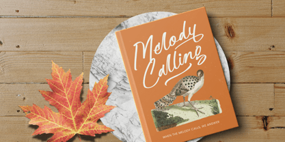 Hulatin Font Poster 8