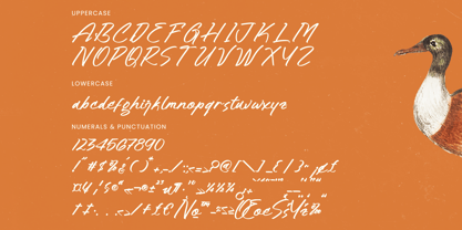 Hulatin Font Poster 14