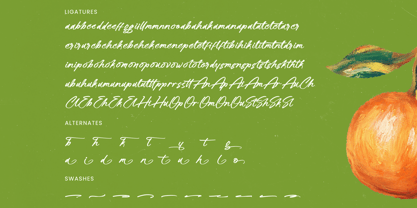 Hulatin Font Poster 15