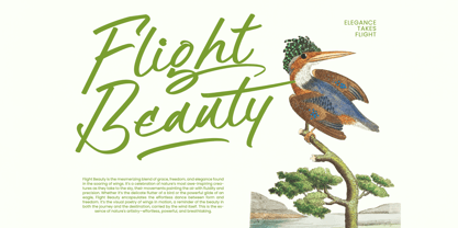 Hulatin Font Poster 13