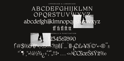 Qimano Font Poster 7