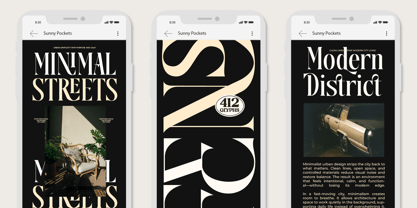 Disriete Font Poster 6