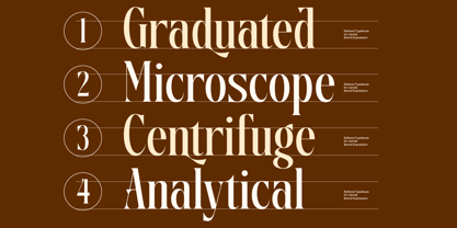 Disriete Font Poster 5