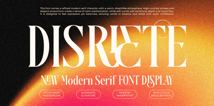Disriete Font Poster 1