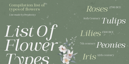 RCL Veluxa Serif Font Poster 8