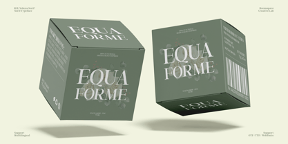 RCL Veluxa Serif Font Poster 3