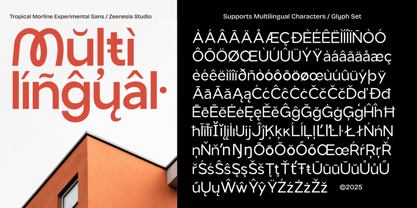 Tropical Morline Font Poster 13