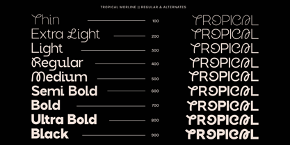 Tropical Morline Font Poster 3
