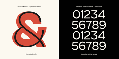 Tropical Morline Font Poster 14